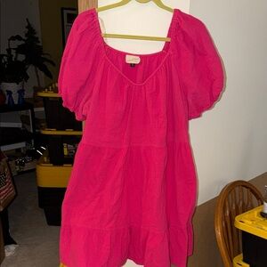 Universal Thread Fuchsia Textured Dress